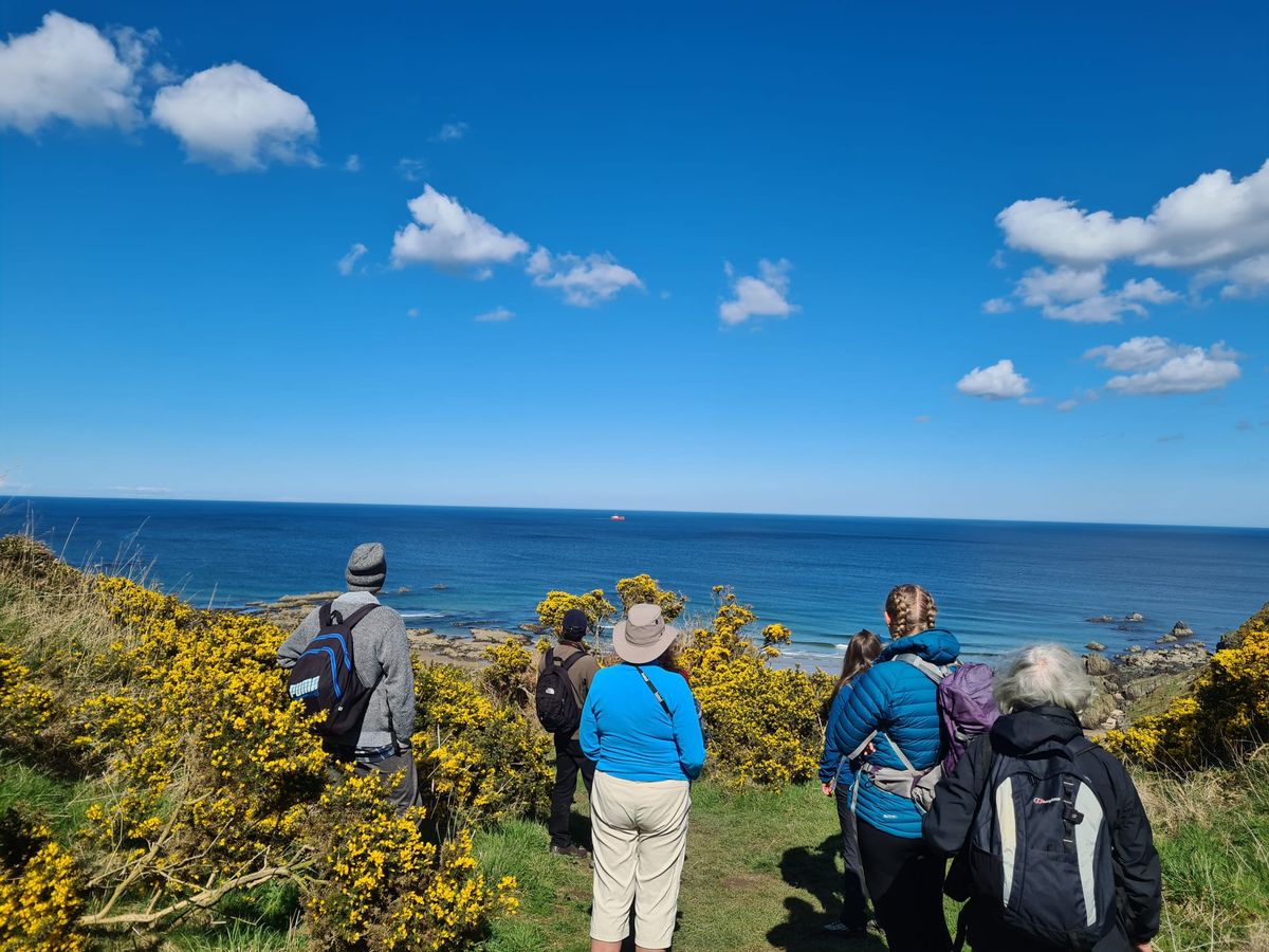 Coastal Wildlife Walk