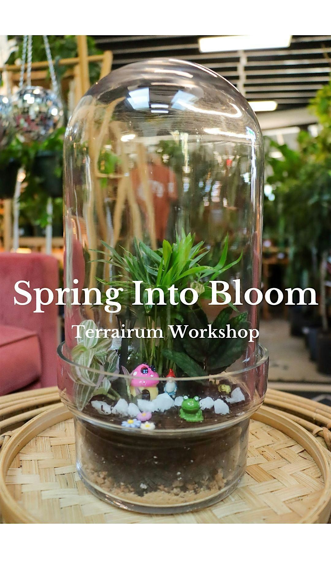 Spring Into Bloom: Terrarium Workshop