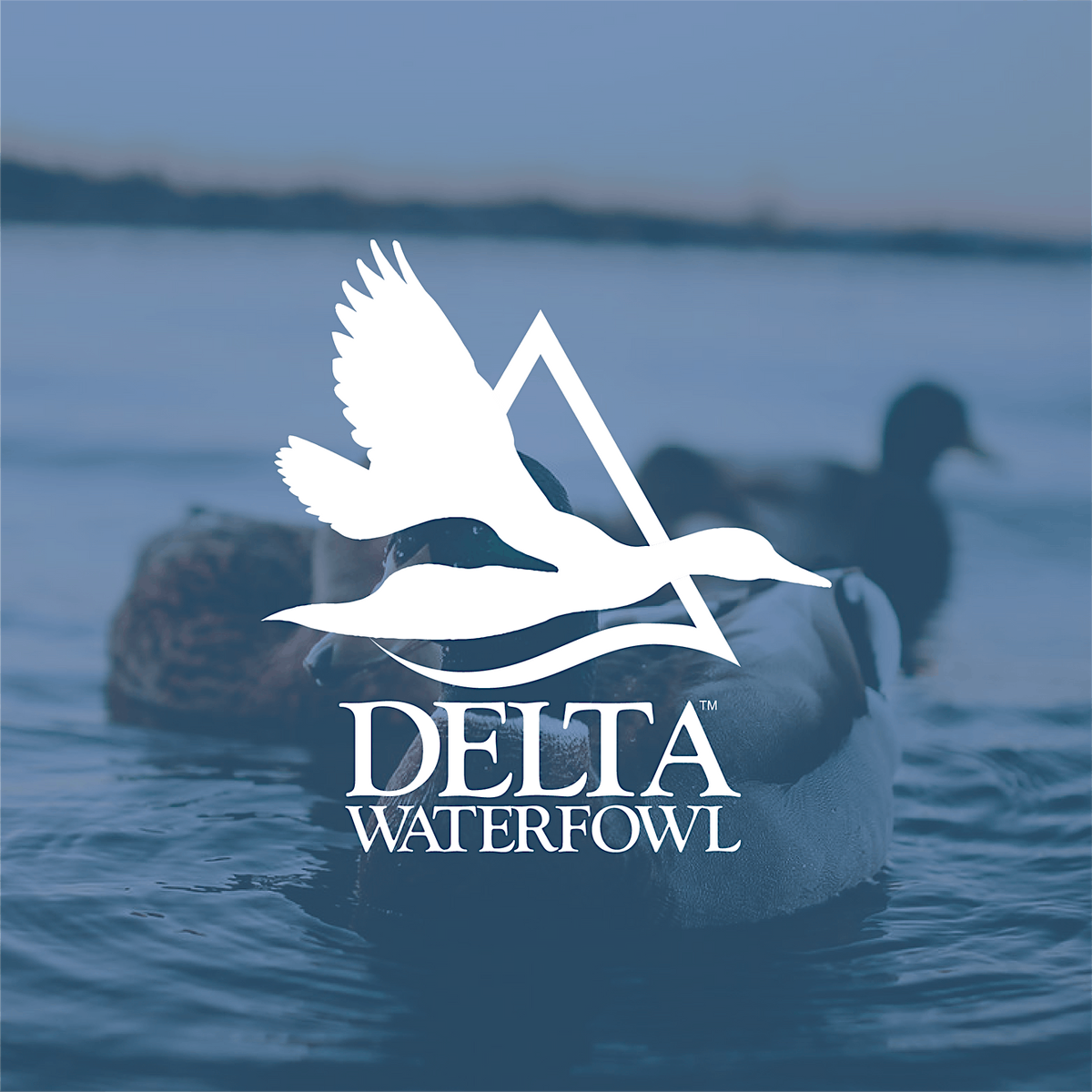 Delta Waterfowl Tuscaloosa Banquet