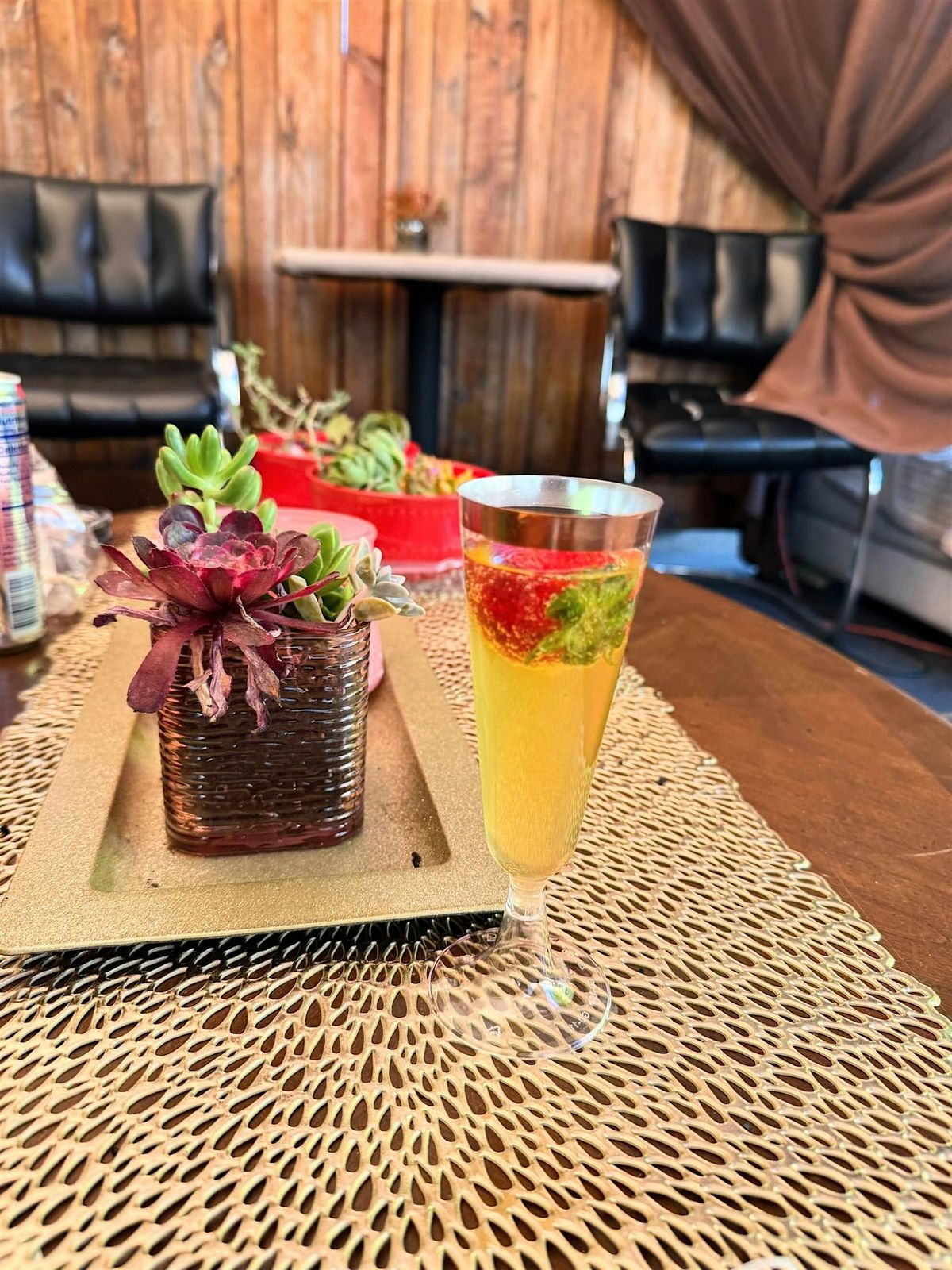 Plant and Sip with Stefanie's Supernatural