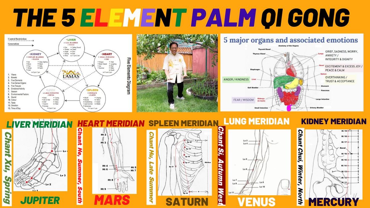 IN PERSON OR ONLINE 5 ELEMENTS PALM HEALING QI GONG 2 DAYS WORKSHOP