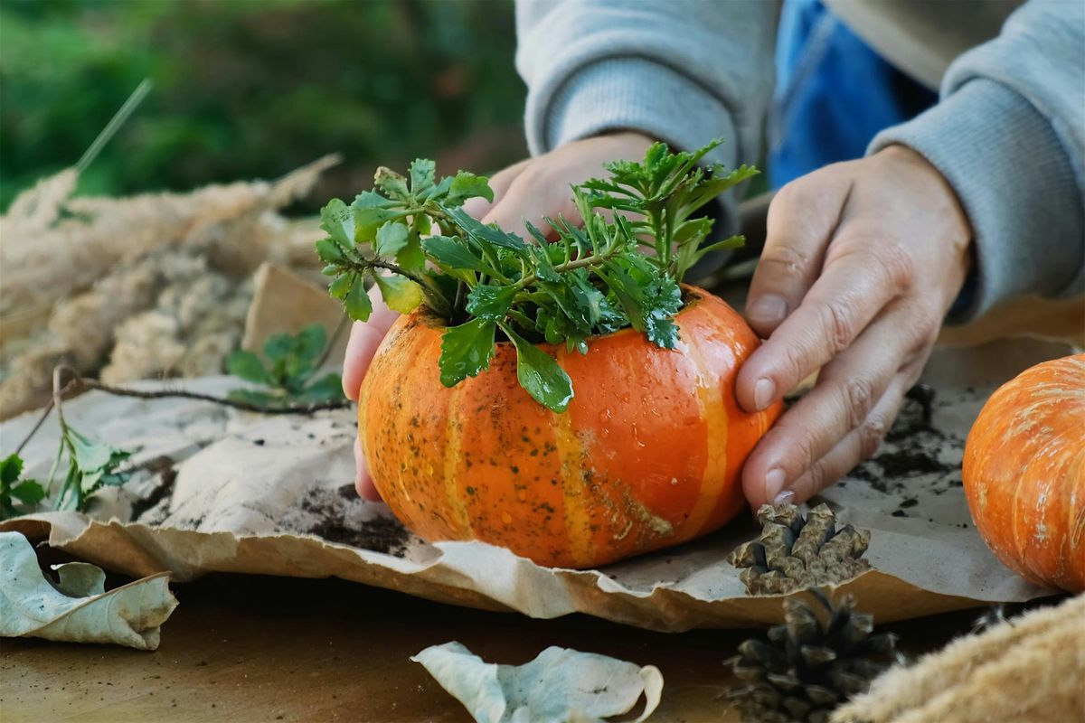 Pumpkin Flower Arrangement & Succulent Garden Workshop with Farmer Nick