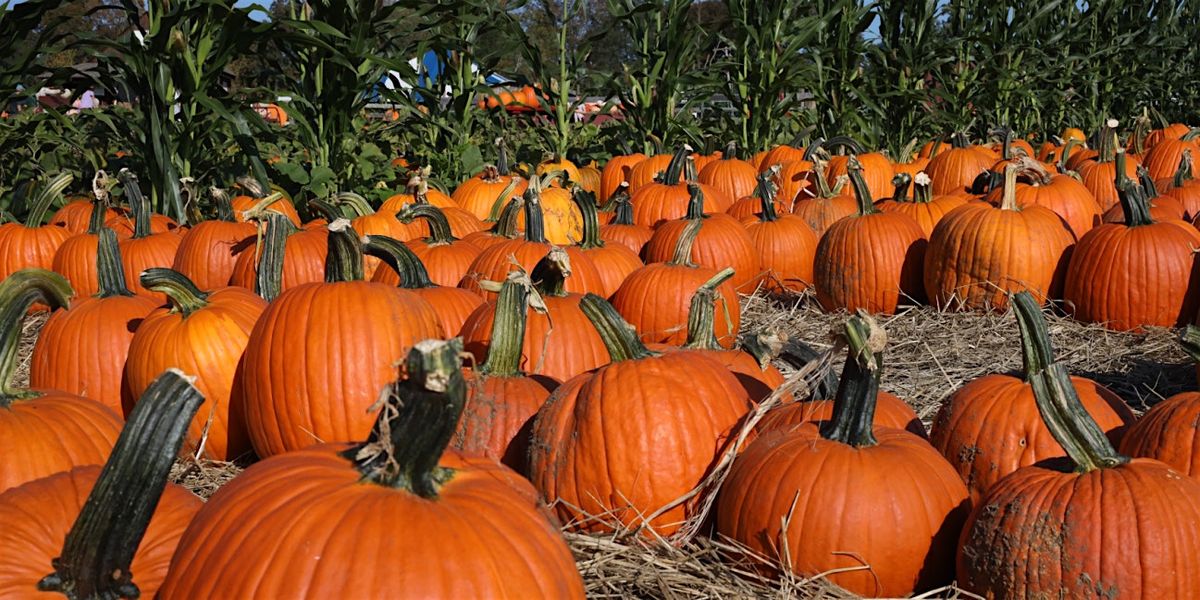 On the Road Tour - Explore East County Farms: Fall Harvest & Native Plants