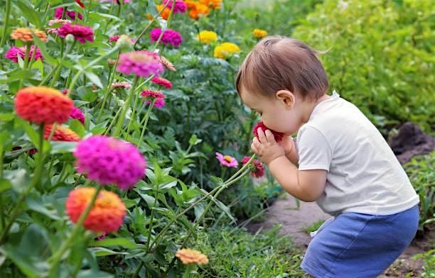 Little Farmers Parent and Me Fall Sessions 2025 September - December