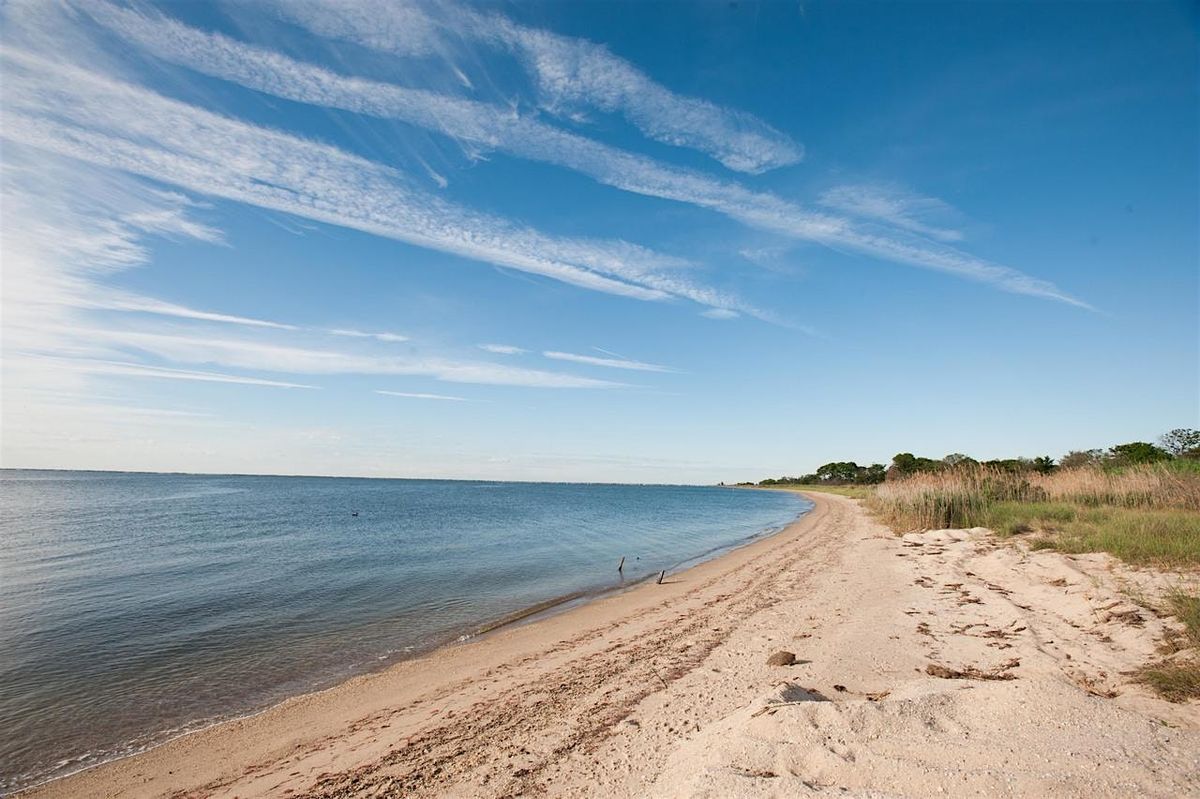 Kayak Nature Tour: Adult Program, $4 per adult upon arrival