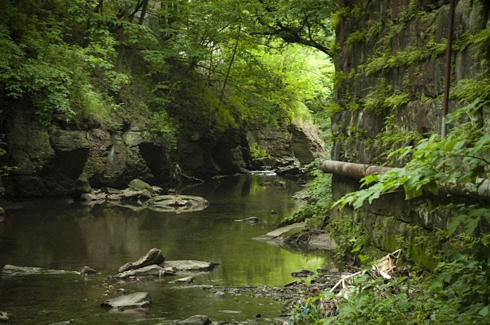 Saw Mill Run Watershed Tour