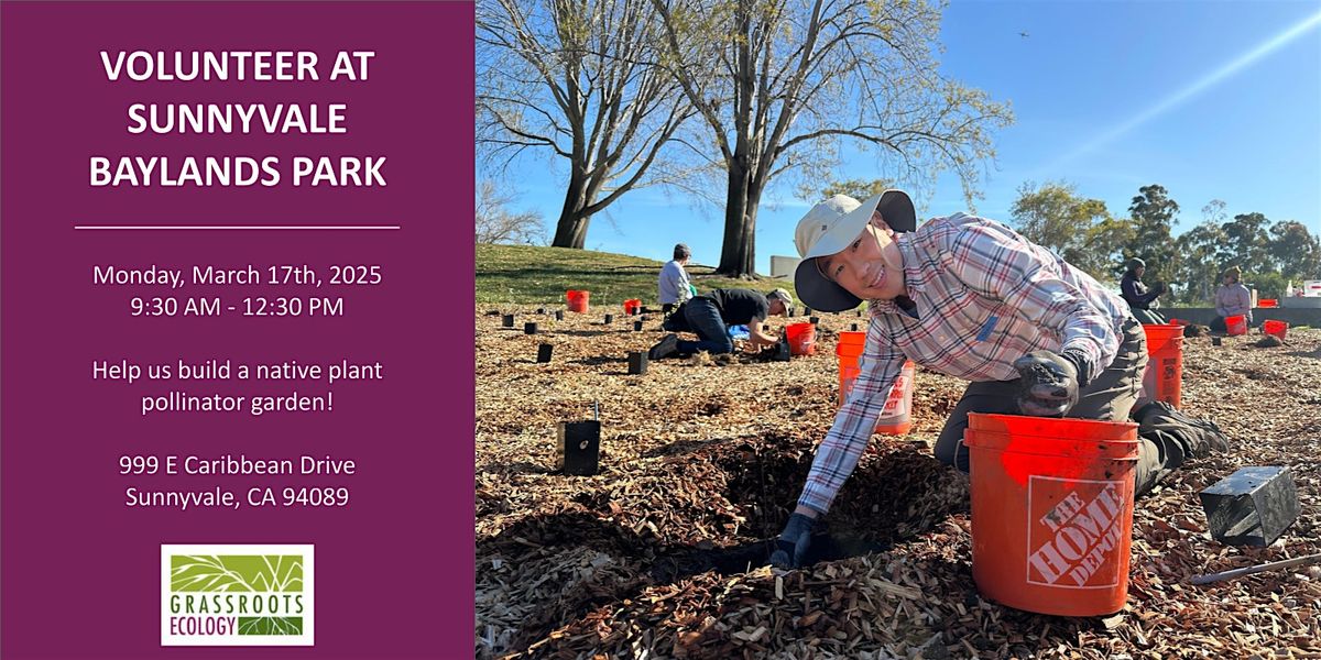 Volunteer Outdoors in Sunnyvale at Baylands Park