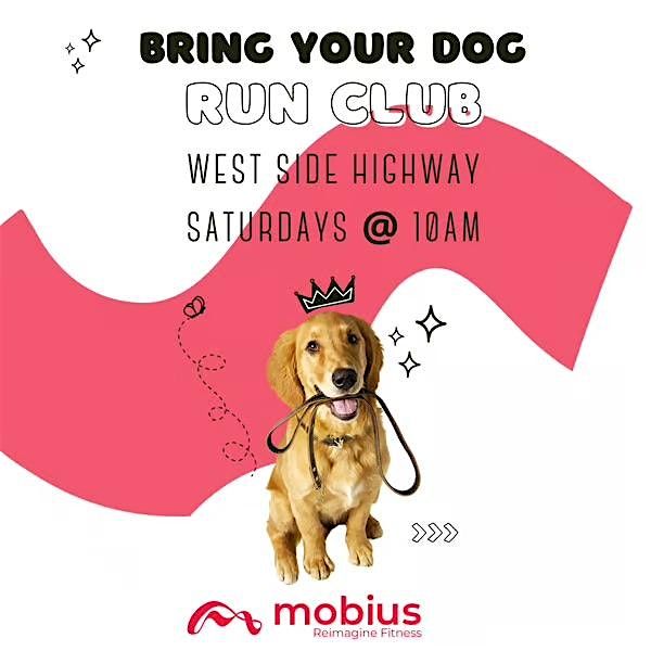 Dog Run Club