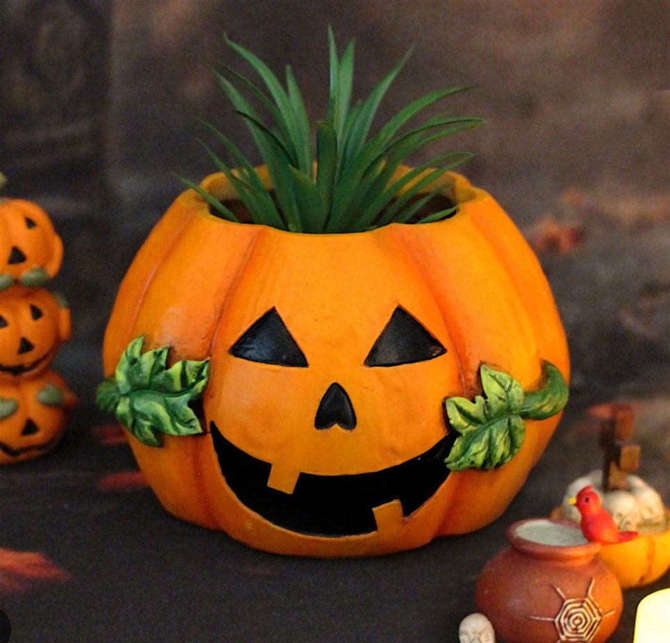 Create Your Own Mini Pumpkin Planters
