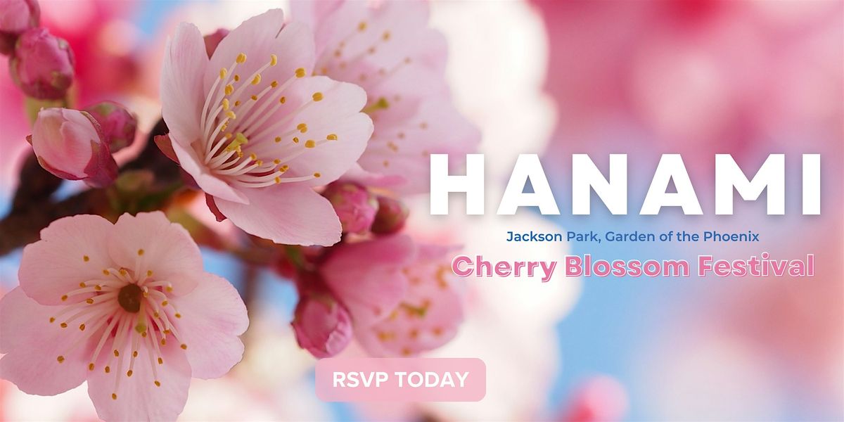 Hanami -  Cherry Blossom Festival