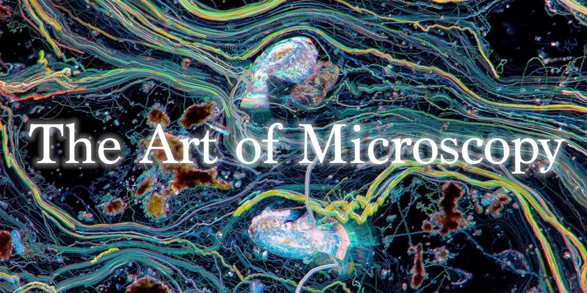 Microscope Art Example The Art of Microscopy, Artisan's Asylum, Boston, 8 March 2025