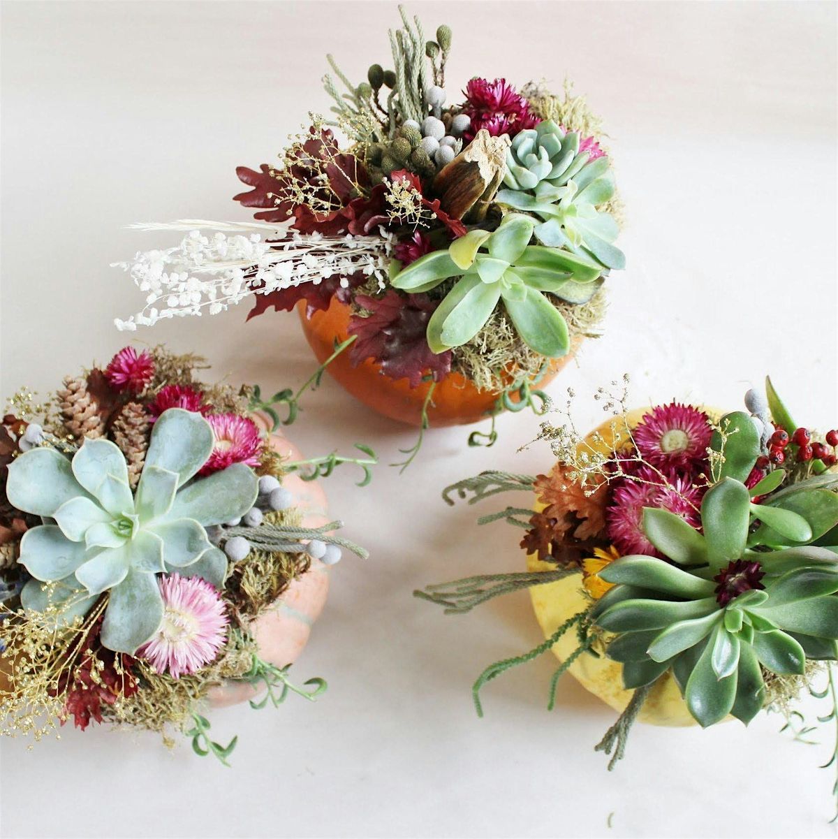 Pumpkin Succulent Centerpieces Workshop