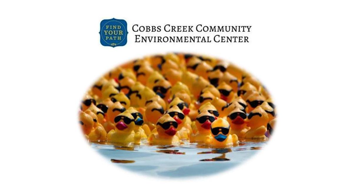 Annual Duck Race