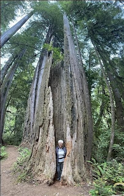 6th Annual Celebration of Trees at Sacred Lands