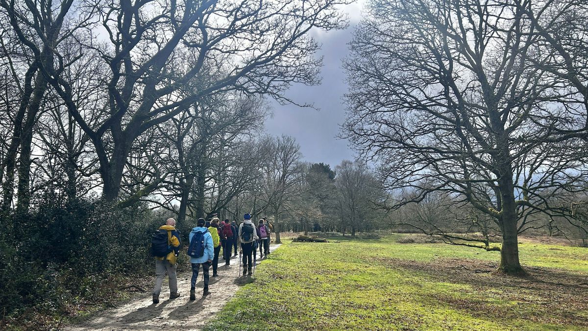 Autumn colours of New Forest, a weekend hiking adventure