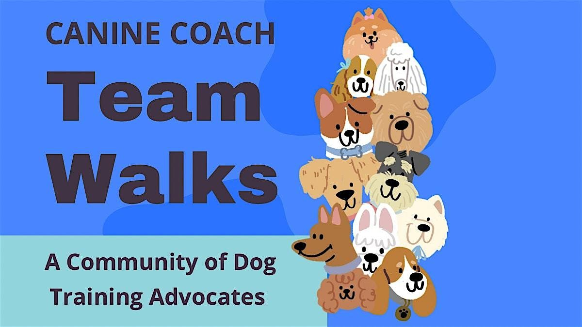 Canine Coach Team Walk Batiquitos Lagoon