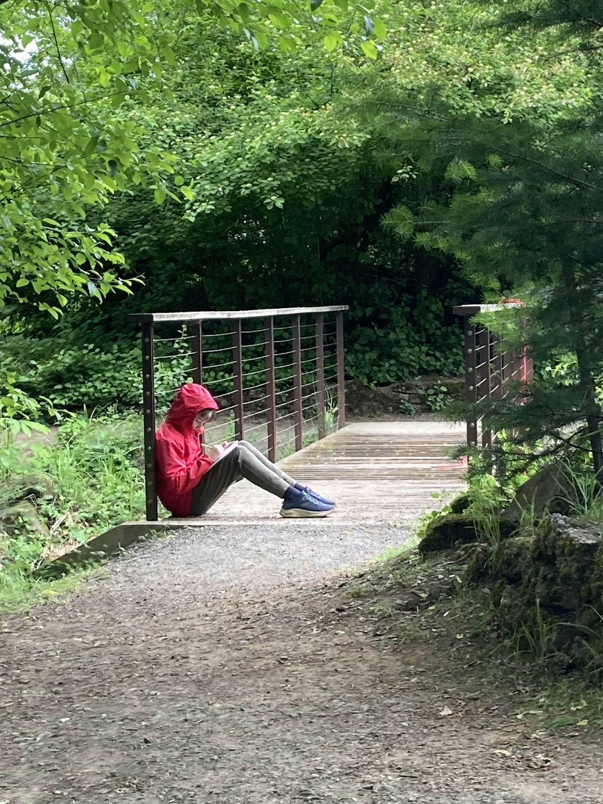 Wonder Wednesdays: Intro to Nature Journaling