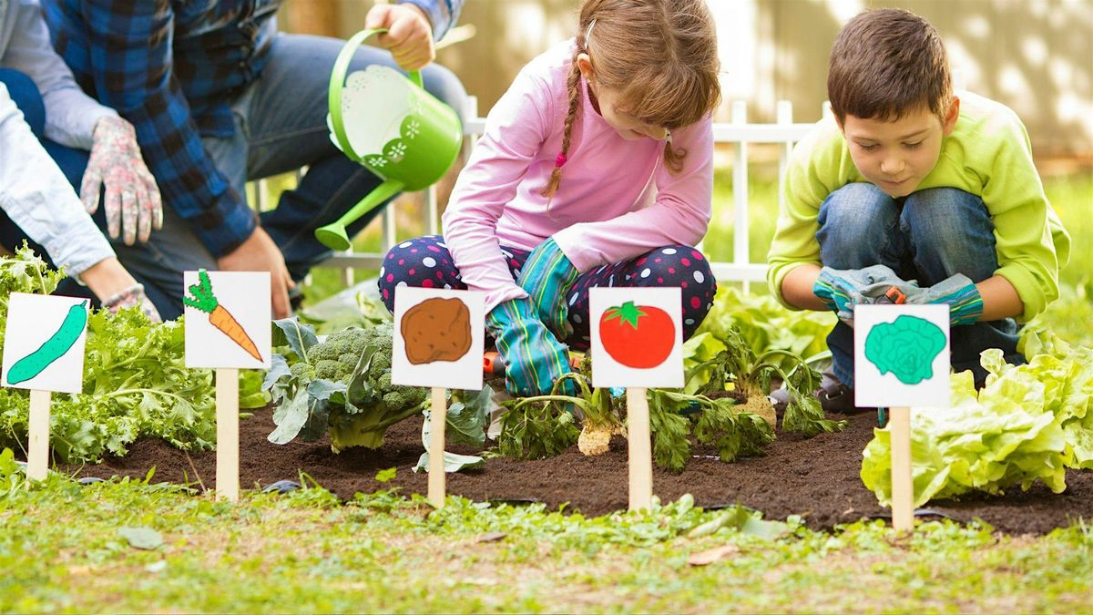 Webinar: Seed-Started Gardening