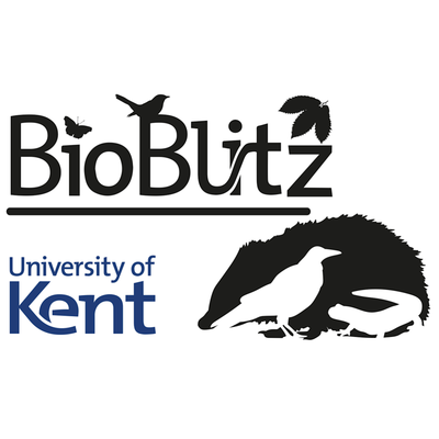 DICE, University of Kent