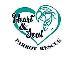 Heart & Soul Parrot Rescue Basic Parrot Class