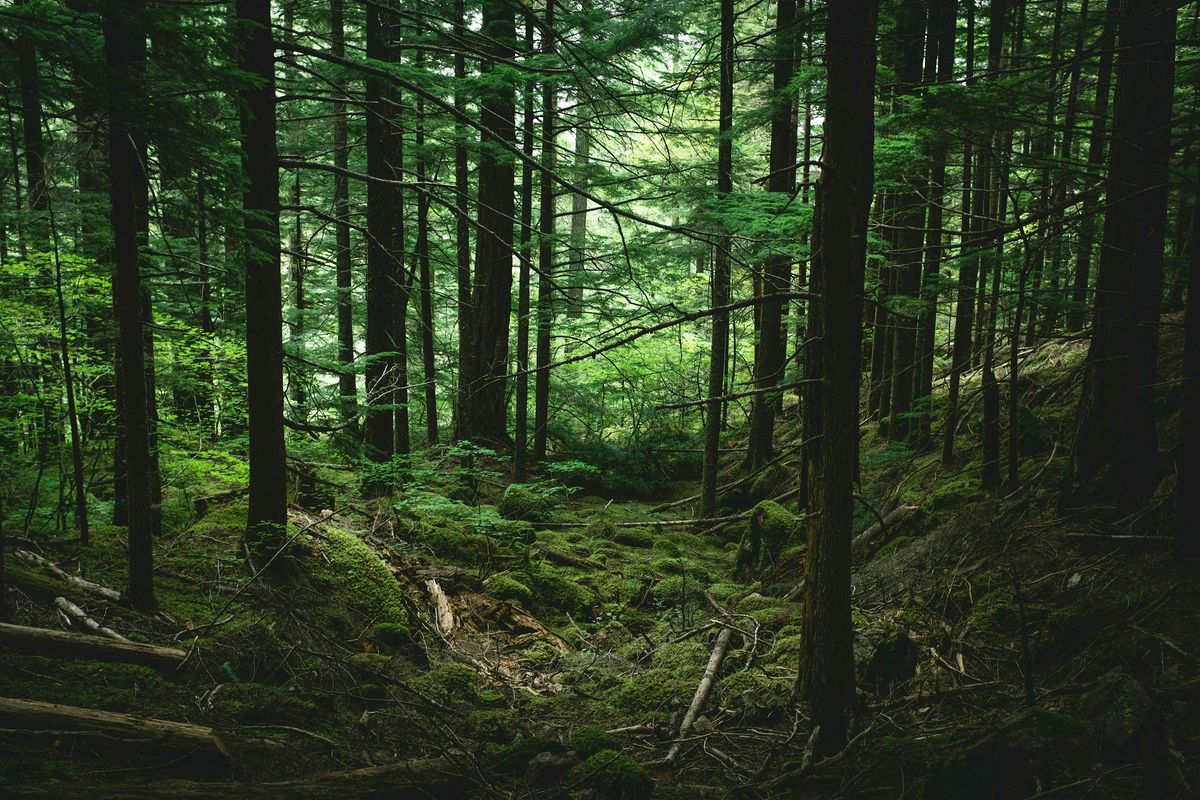 Hike & Meditate