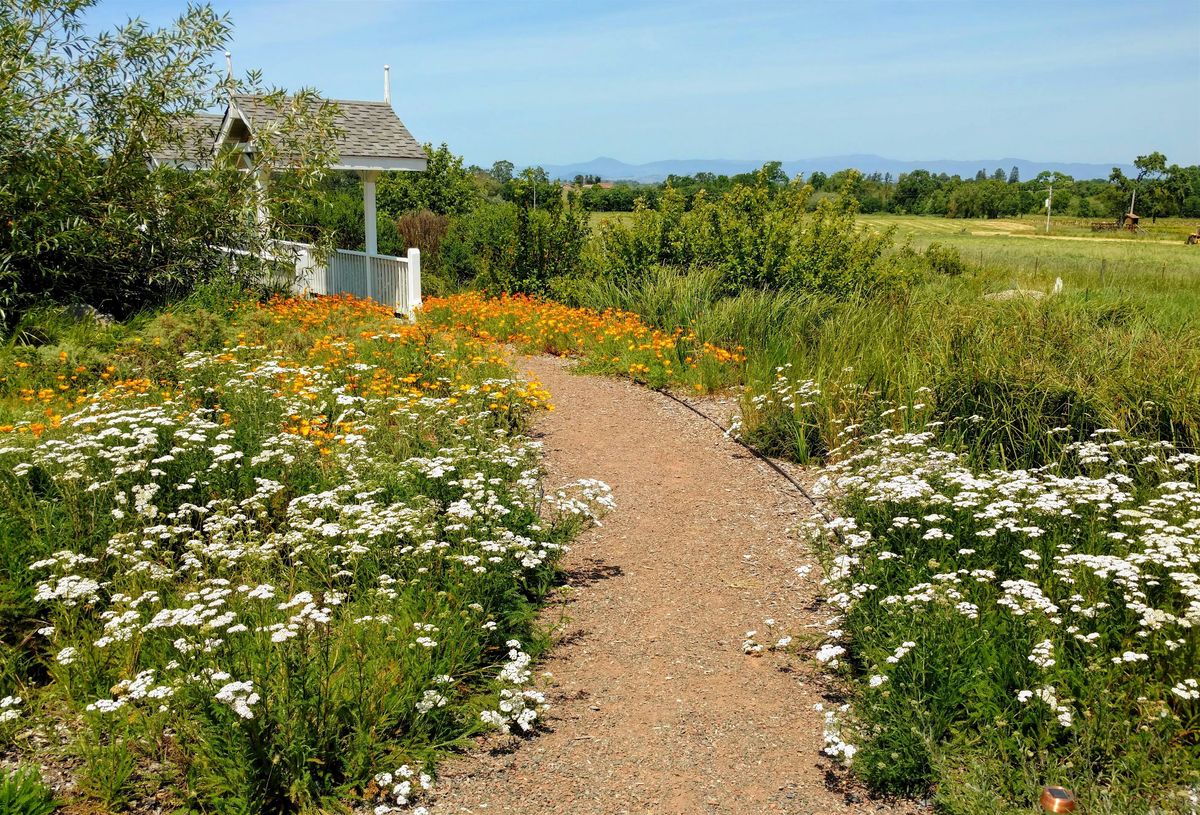 Stop by the Laguna Environmental Center during the Eco-Friendly Garden Tour