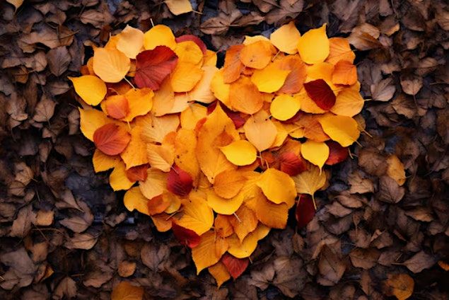 Oto\u00f1o \u00bfQu\u00e9 te sugiere?