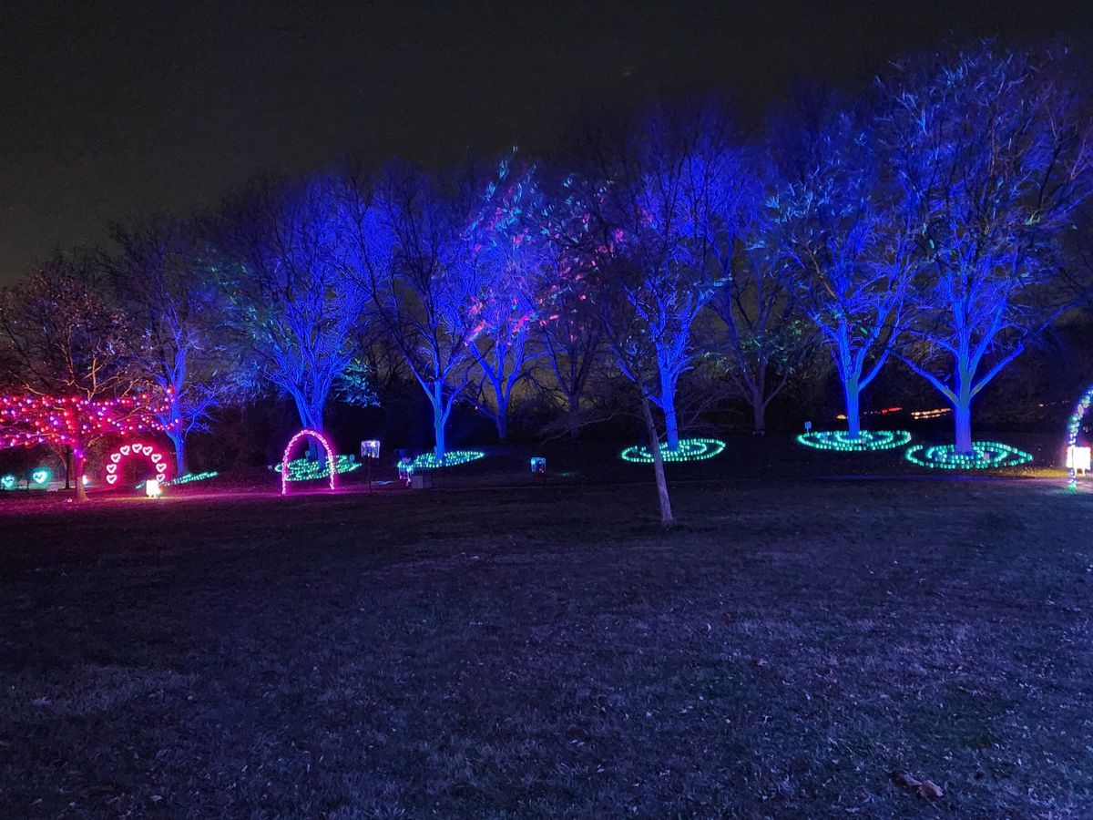 Winter Lights at Central Park