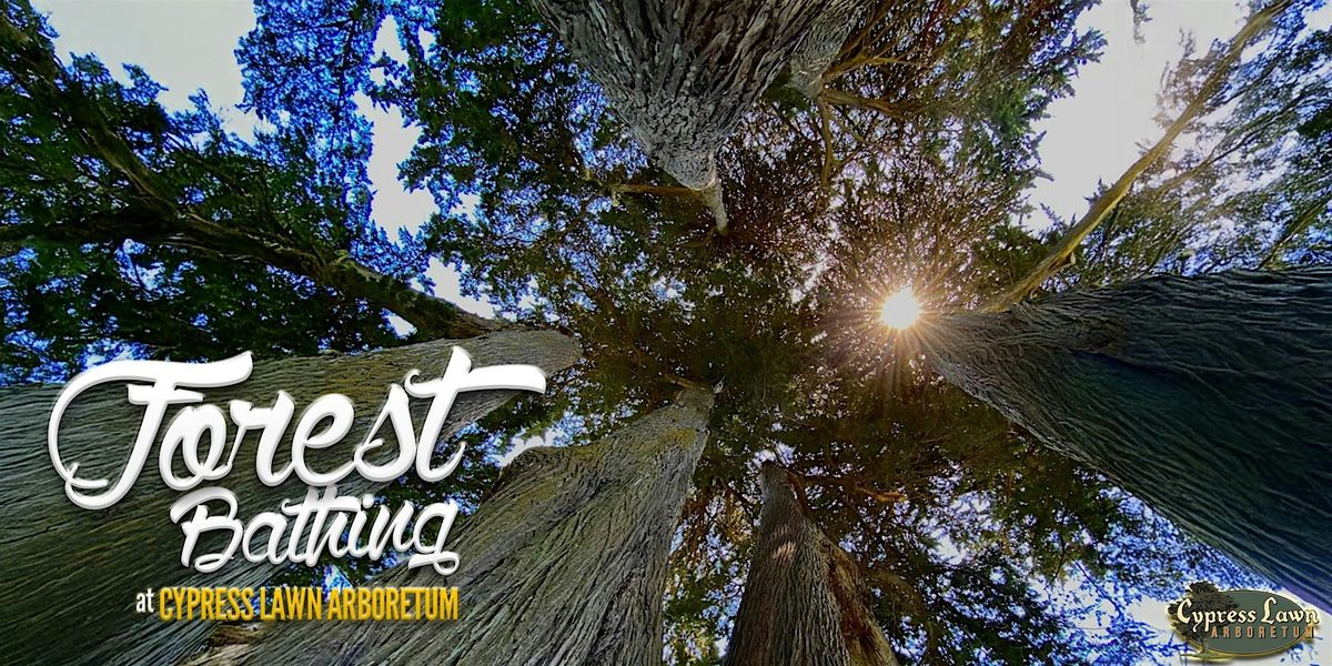 Forest Bathing @ Cypress Lawn Arboretum