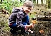 Guided Family Foraging @ Beaver Brook Association