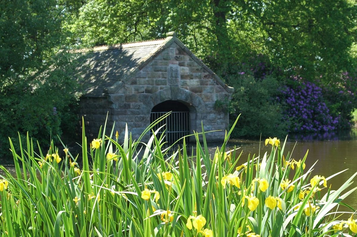 Biddulph Grange Neutral Walk with Constellation Dog Training