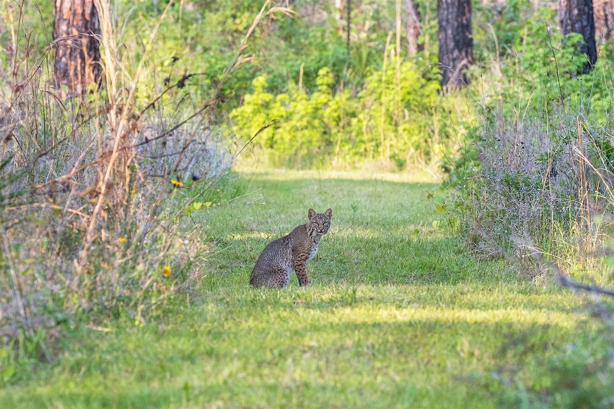 Introduction to Nature Photography