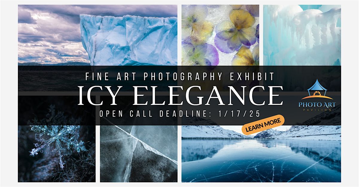 Photography Open Call - 'Icy Elegance' A Virtual Juried Photo Exhibit