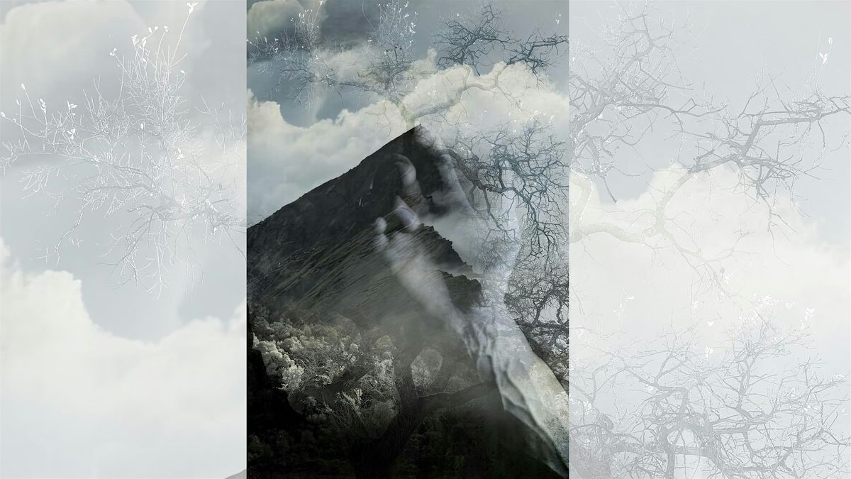 Finding Beauty by David McElwee \u2022 Donors Gallery