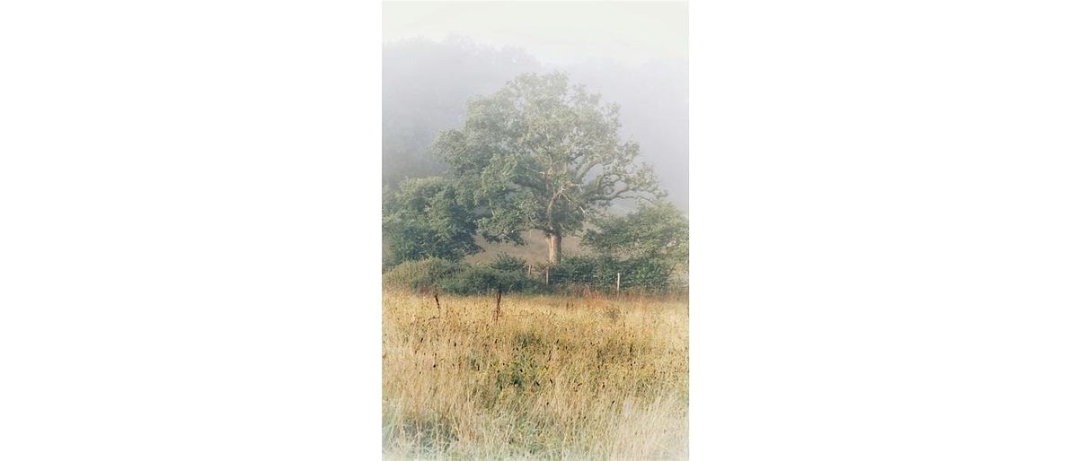 NU Ideas | Season 4 Talk 5 | Rewilding  & limits of Universality