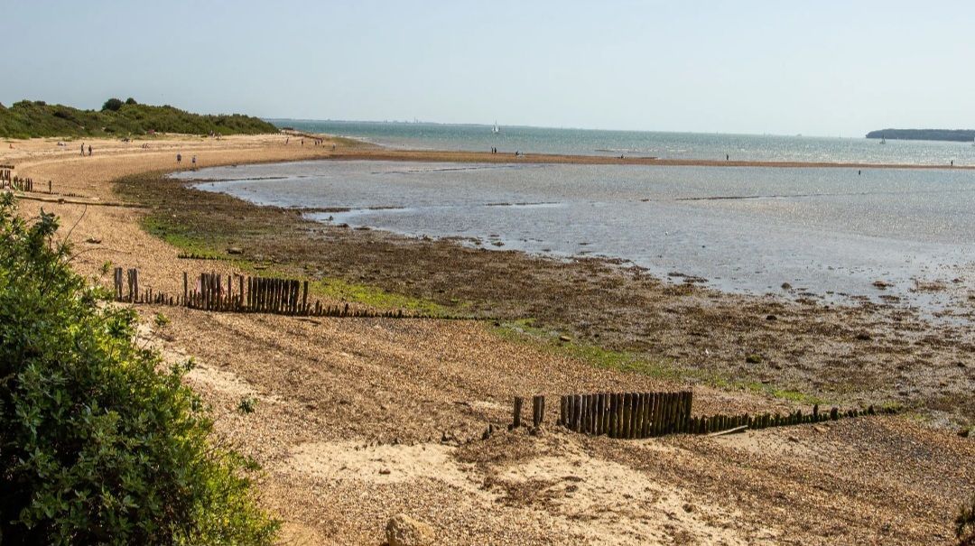 Ride Through New Forest to Lepe