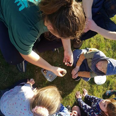 Kinross Wildlife Watch