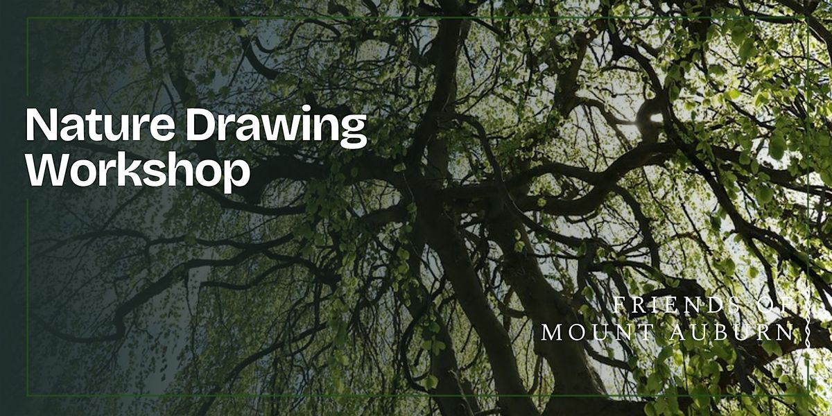 Nature Drawing Workshop: Animals