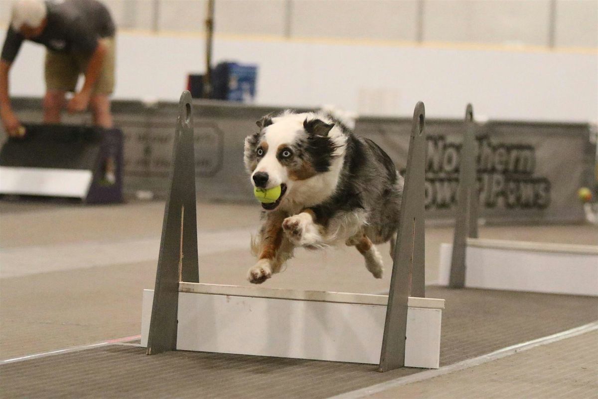 Training Class - Flyball