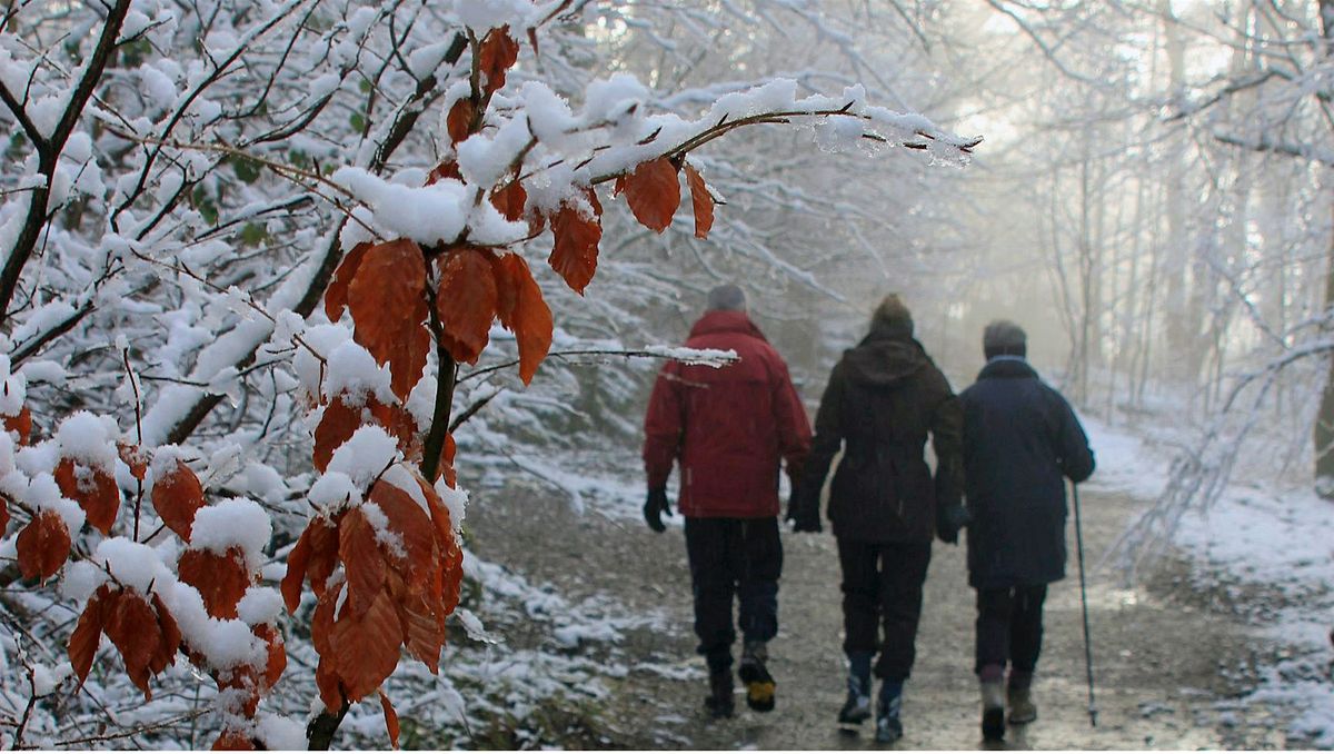 Winter Tree ID Hike - Kuykendall Group Camp