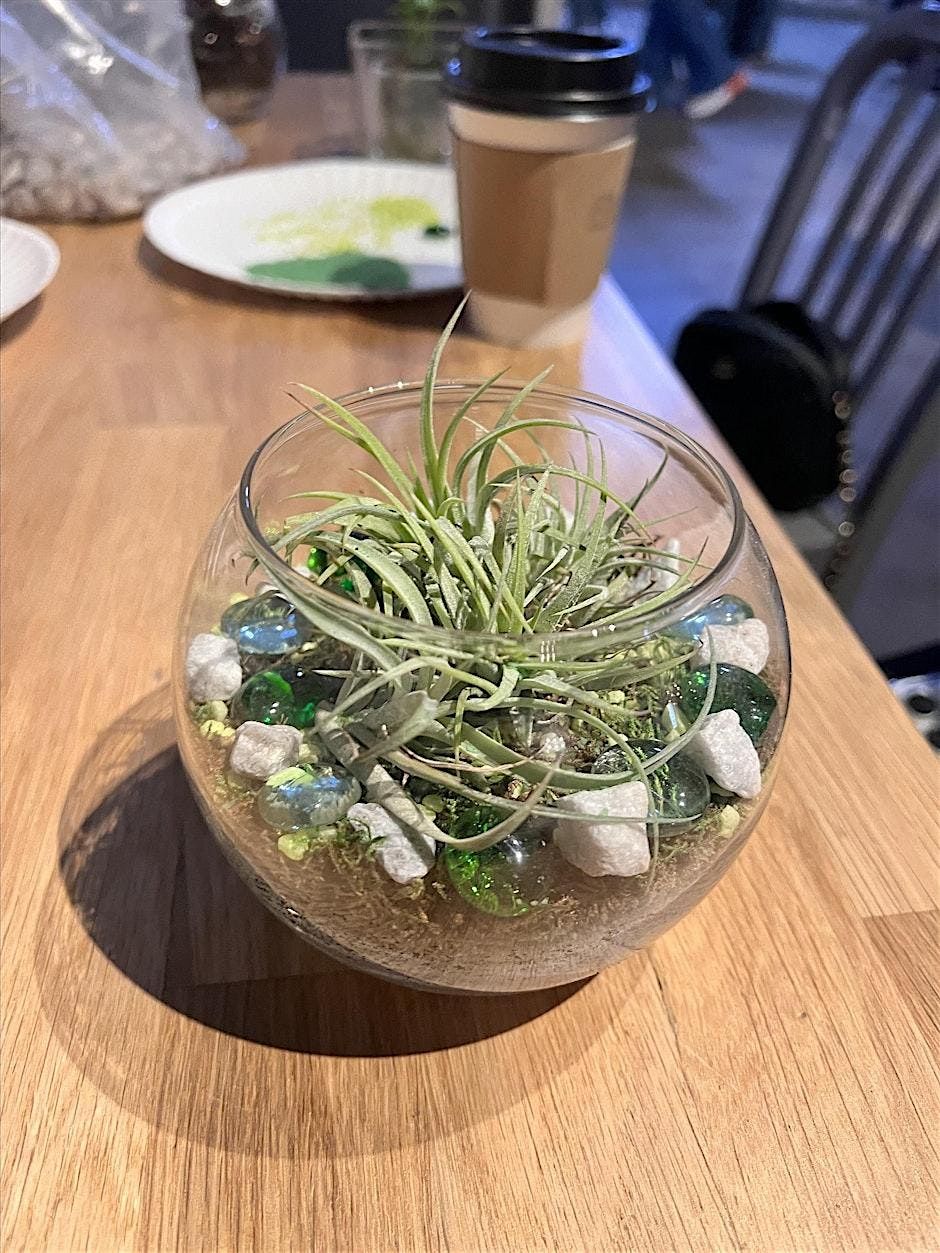 Terrarium Building Workshop