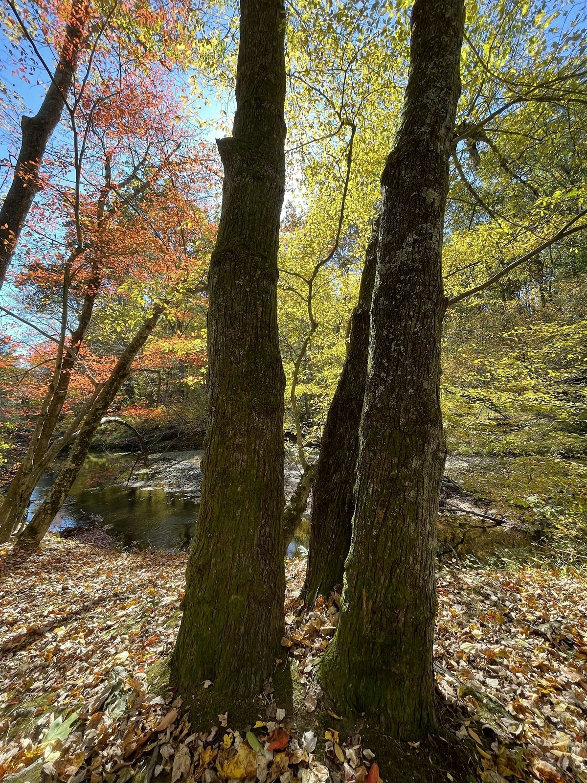 Weekend Retreat in Harper's Ferry