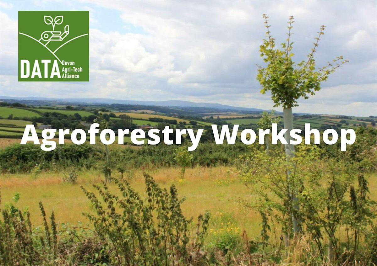 Agroforestry Workshop