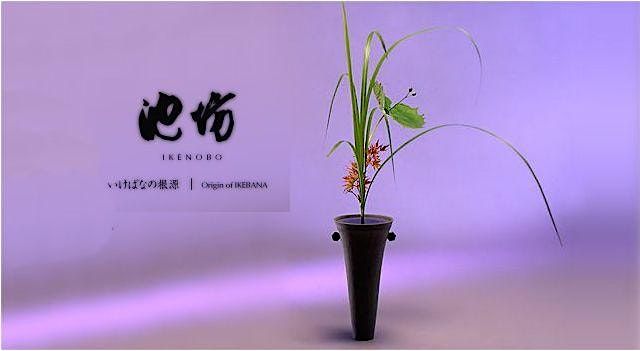 Invitation to Ikenobo Ikebana - Continuing Classes in BoulderCO (Feb 2026)