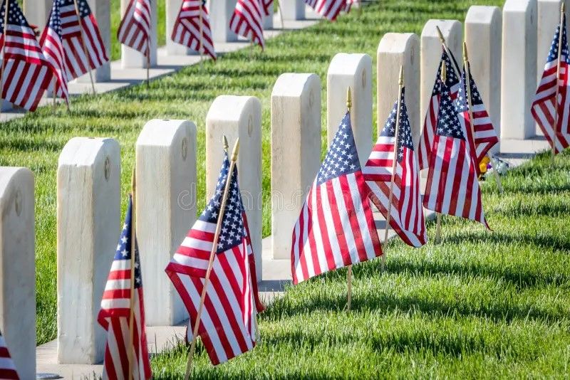 Flag Placement for Veterans Day