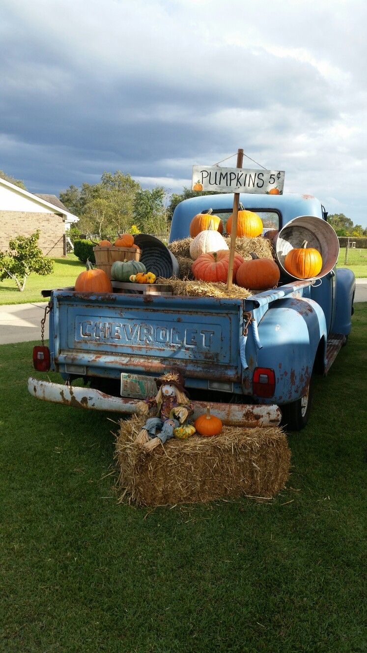 Blues Pumpkin Patch! \ud83c\udf83 \ud83c\udf41 