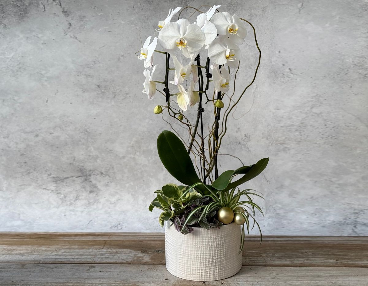 Holiday Orchid Planter Workshop