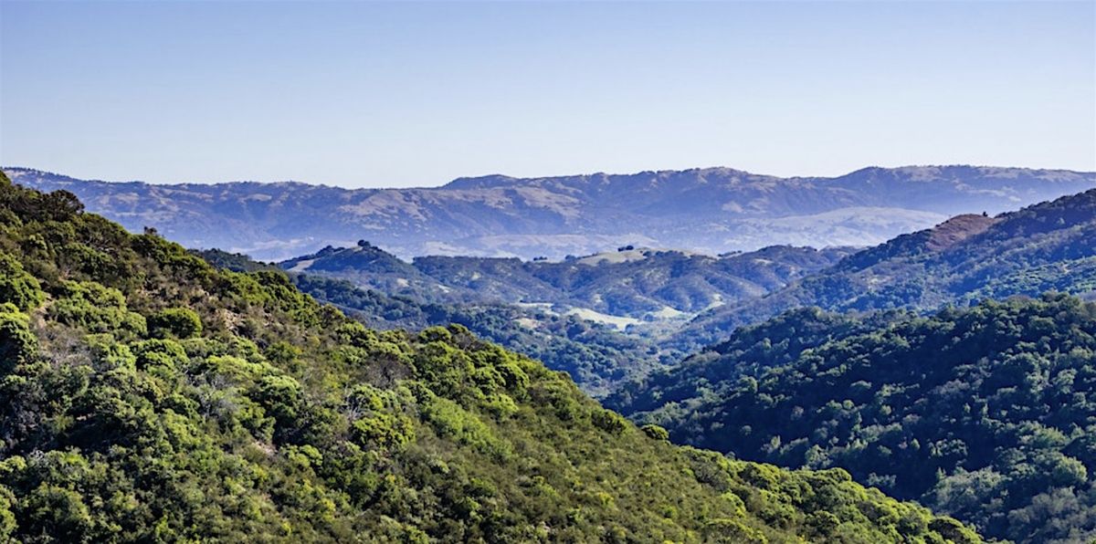 Hike at Calero County Park