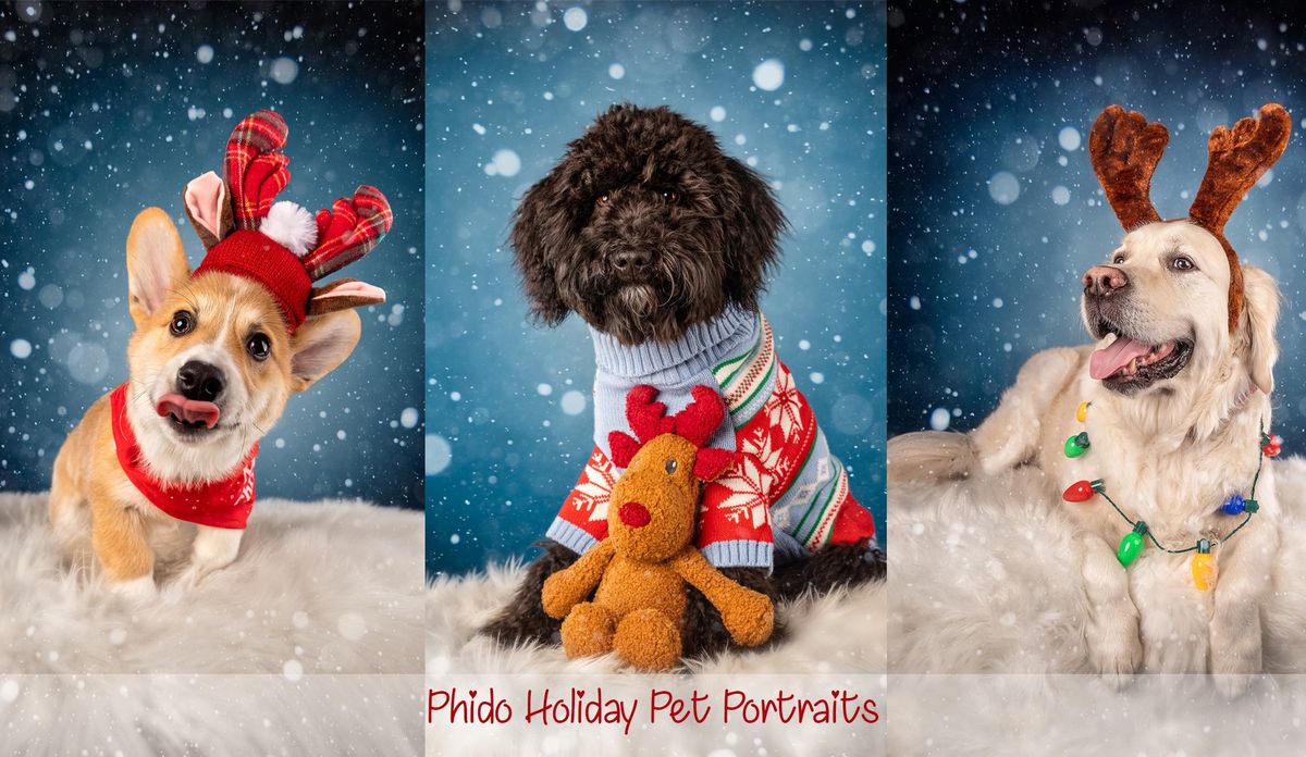 Christmas in July- Holiday Pet Portrait Fundraiser event benefiting Angels with Misplaced Wings