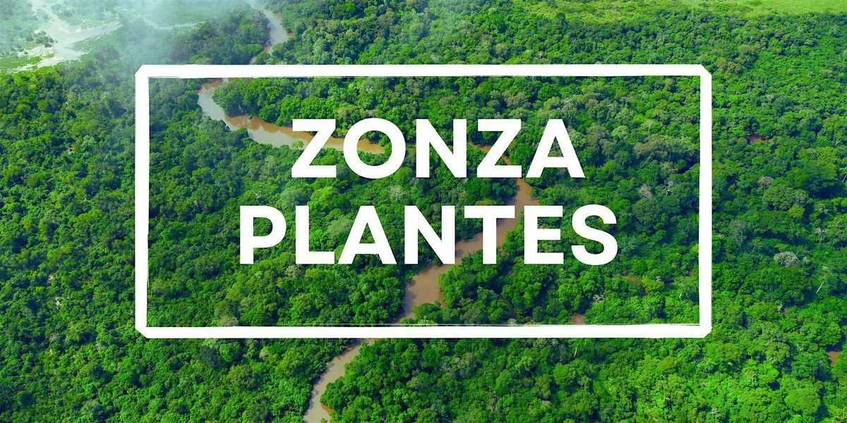 Zonza Plantes : Explorons la flore du Bassin du Congo